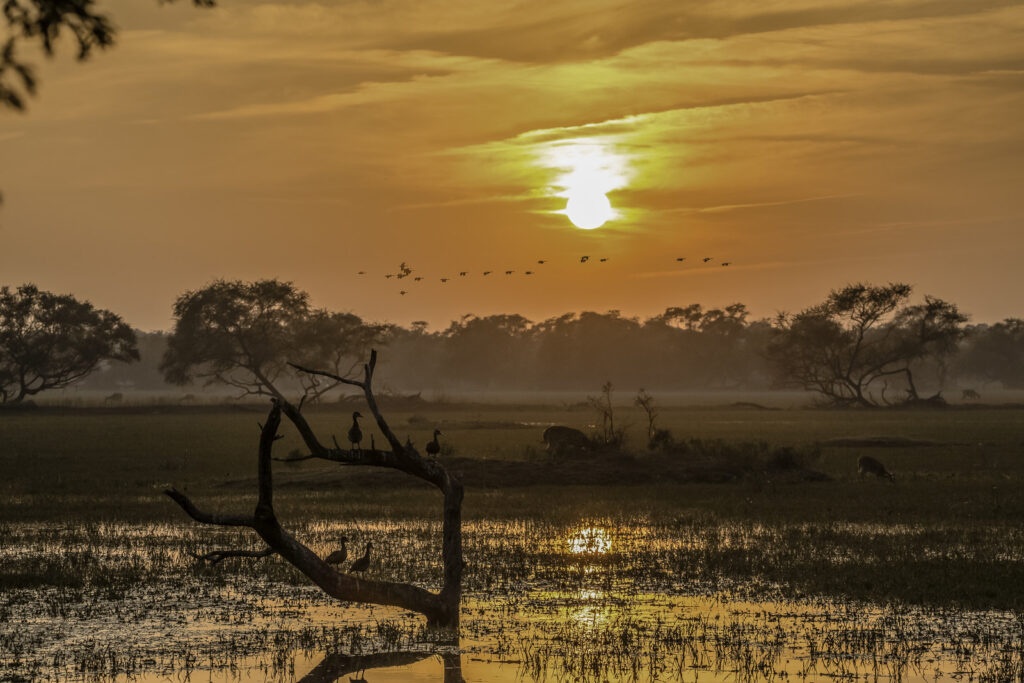 keoladeo bharatpur parc